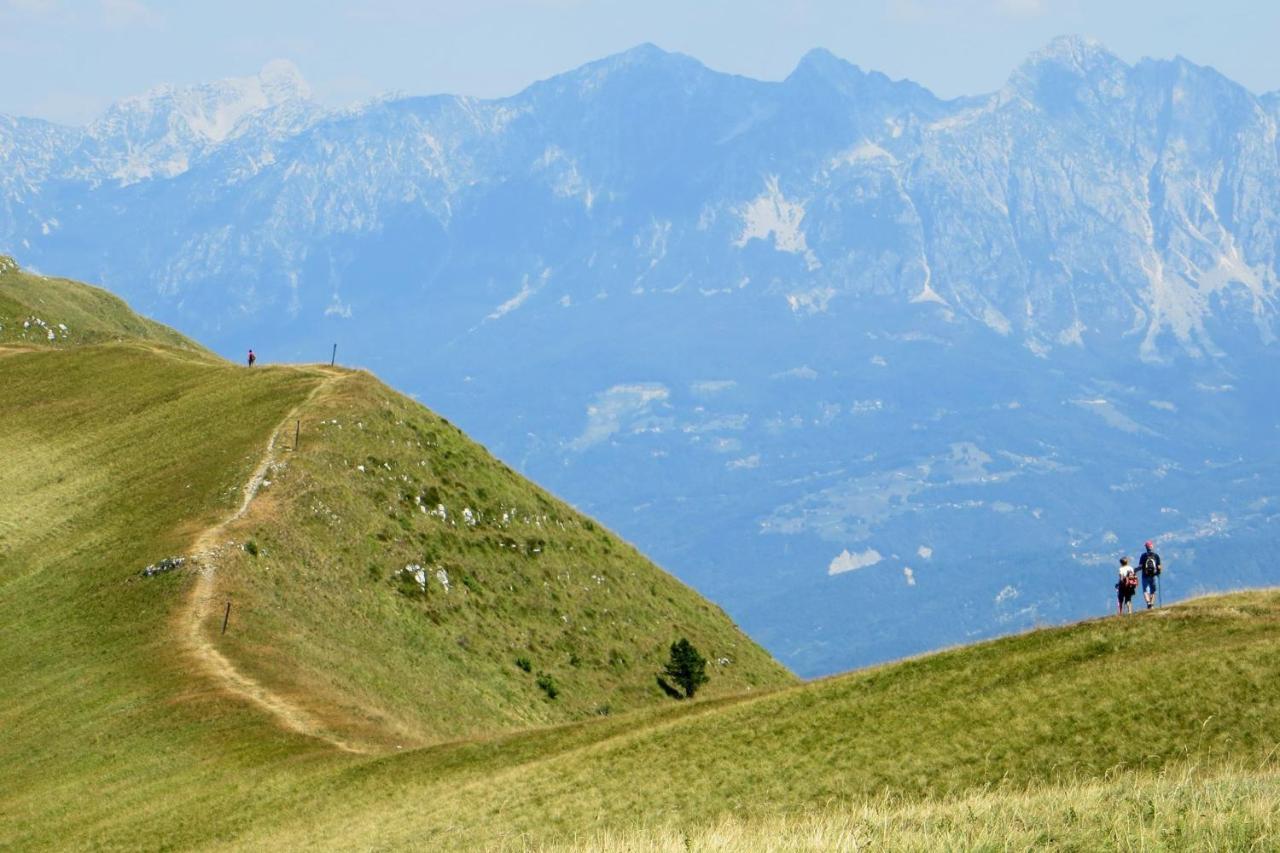 B&B Le Zucche Belluno Eksteriør billede